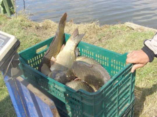 Mazăre face port pescăresc în zona Pescărie